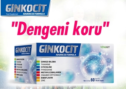 Ginkocit 60 Kapsül